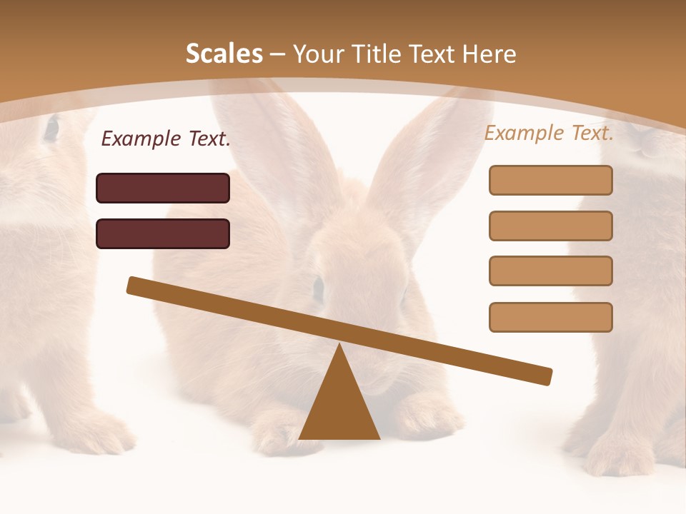 A Group Of Rabbits Sitting Next To Each Other PowerPoint Template