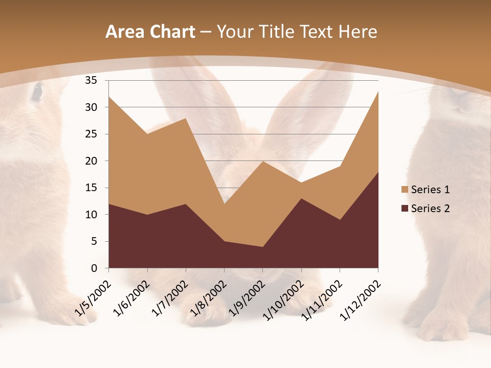 A Group Of Rabbits Sitting Next To Each Other PowerPoint Template
