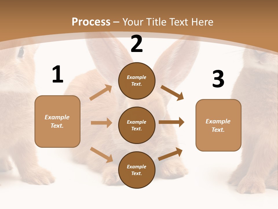 A Group Of Rabbits Sitting Next To Each Other PowerPoint Template