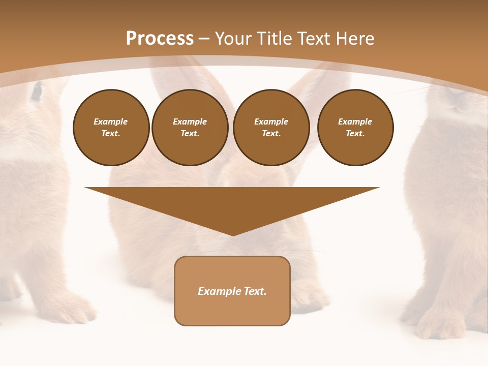 A Group Of Rabbits Sitting Next To Each Other PowerPoint Template