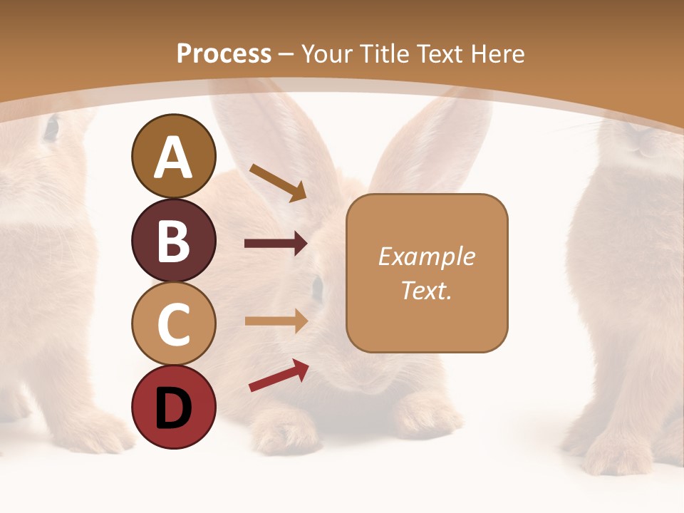 A Group Of Rabbits Sitting Next To Each Other PowerPoint Template
