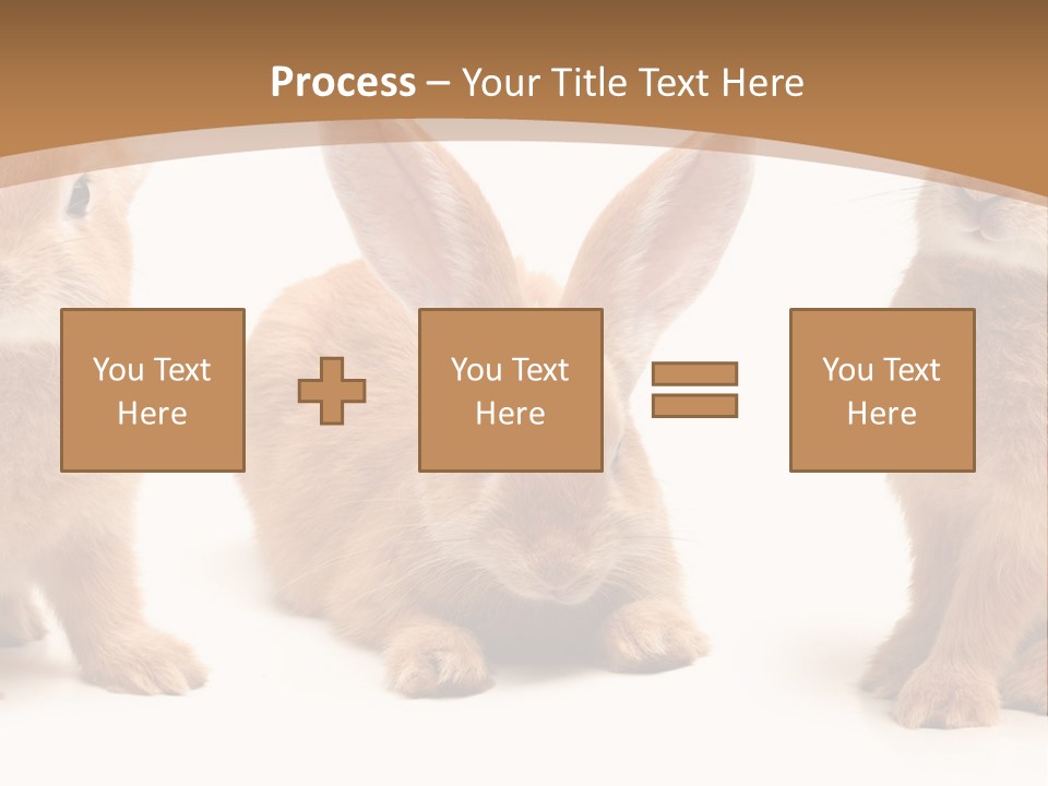 A Group Of Rabbits Sitting Next To Each Other PowerPoint Template