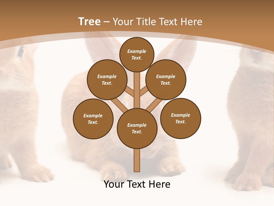A Group Of Rabbits Sitting Next To Each Other PowerPoint Template