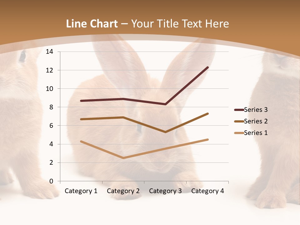A Group Of Rabbits Sitting Next To Each Other PowerPoint Template