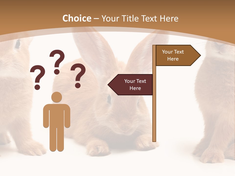 A Group Of Rabbits Sitting Next To Each Other PowerPoint Template
