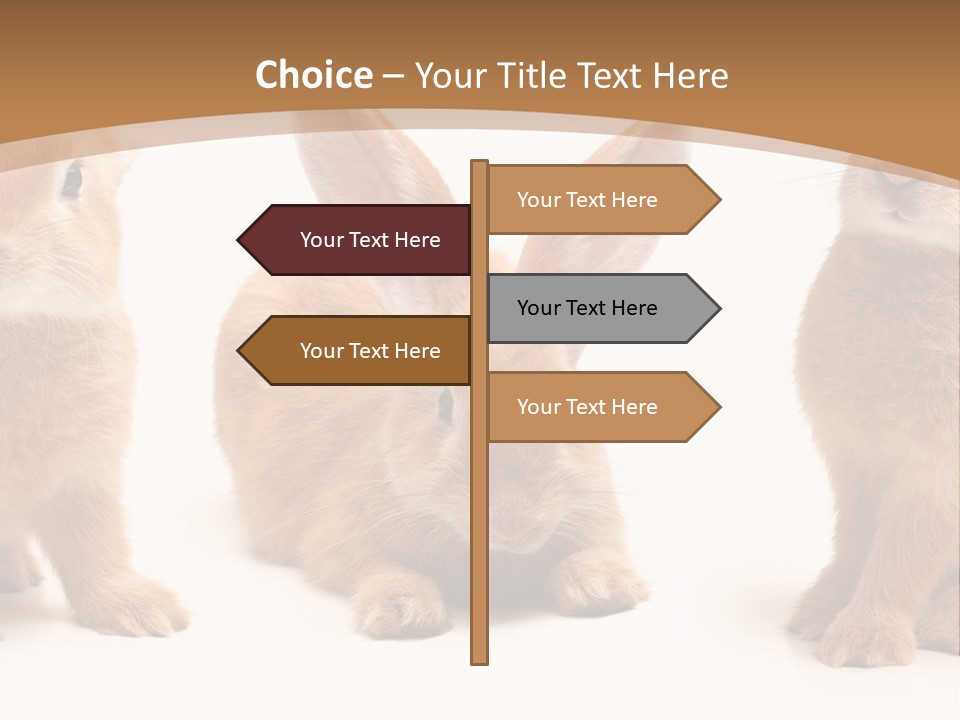 A Group Of Rabbits Sitting Next To Each Other PowerPoint Template
