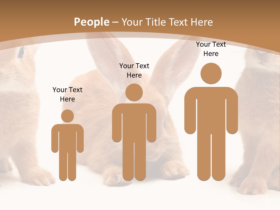 A Group Of Rabbits Sitting Next To Each Other PowerPoint Template