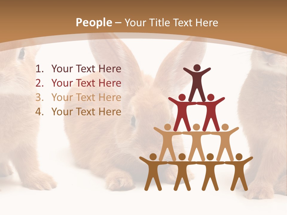 A Group Of Rabbits Sitting Next To Each Other PowerPoint Template