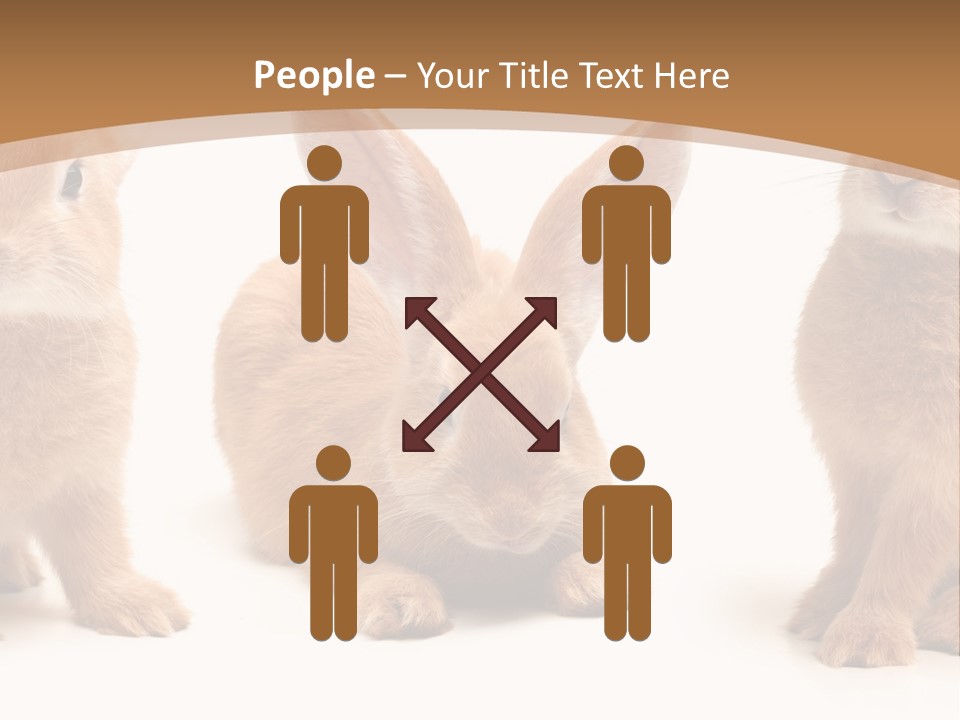 A Group Of Rabbits Sitting Next To Each Other PowerPoint Template