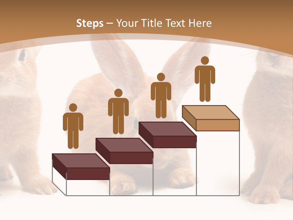 A Group Of Rabbits Sitting Next To Each Other PowerPoint Template