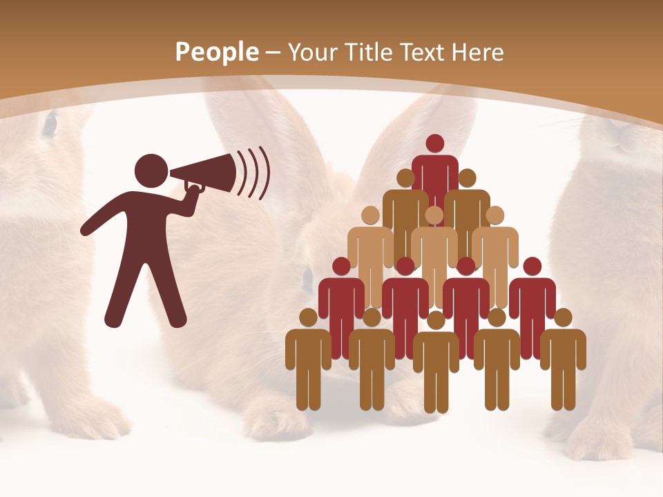 A Group Of Rabbits Sitting Next To Each Other PowerPoint Template