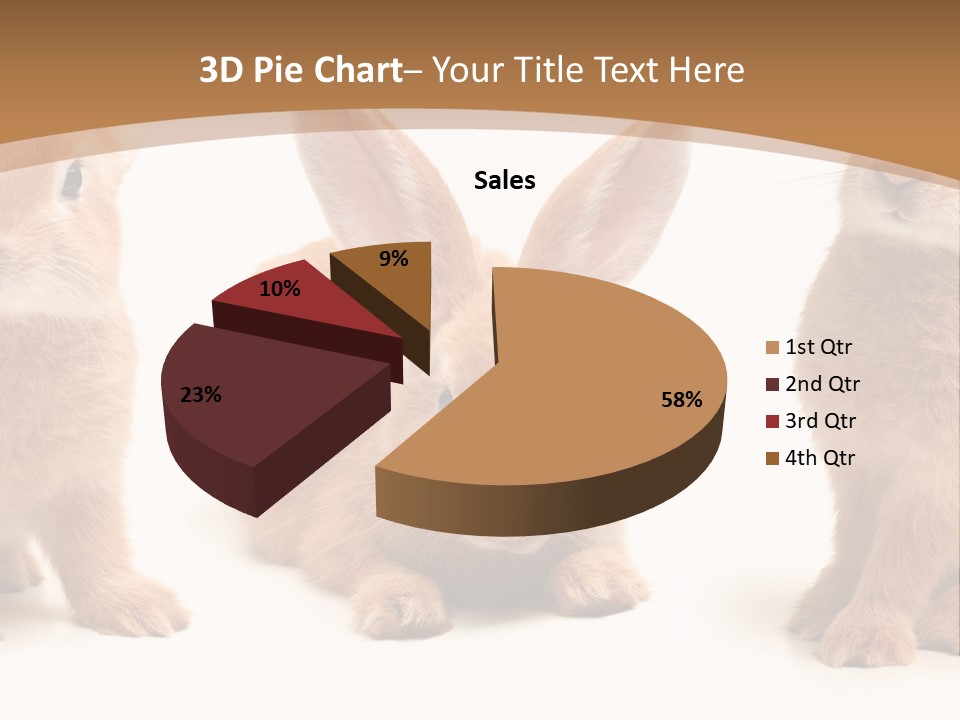A Group Of Rabbits Sitting Next To Each Other PowerPoint Template