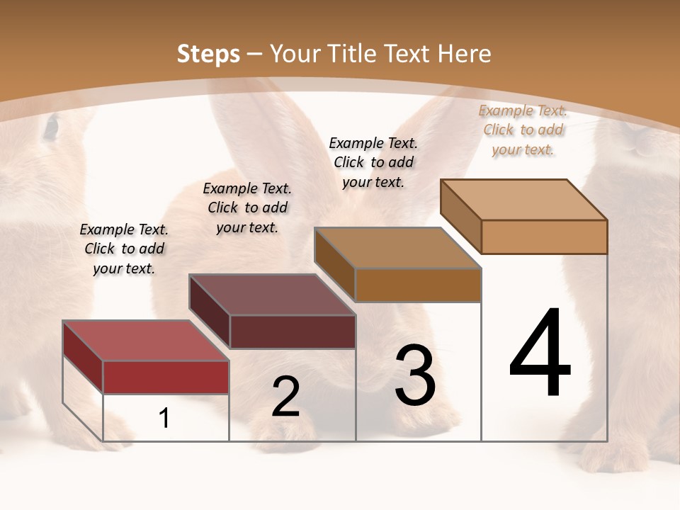A Group Of Rabbits Sitting Next To Each Other PowerPoint Template