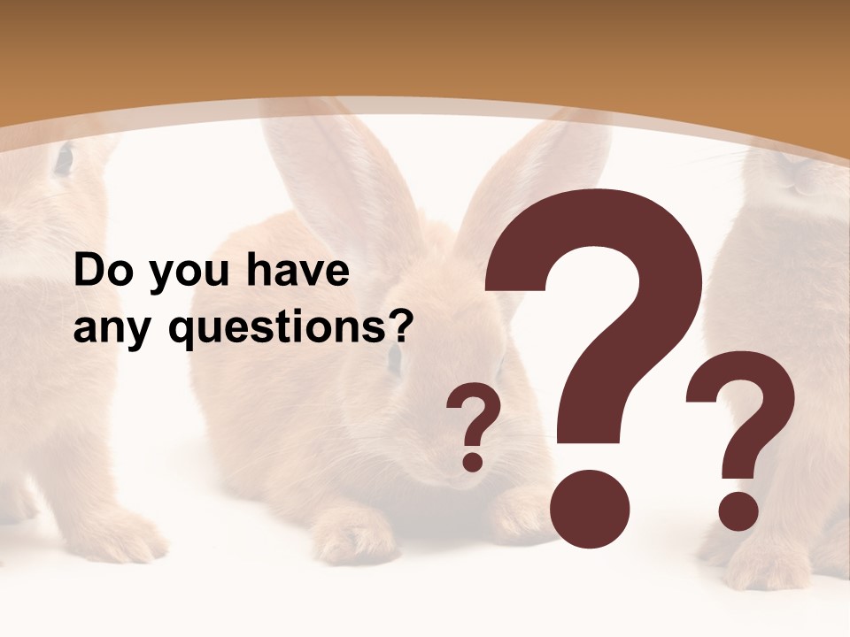 A Group Of Rabbits Sitting Next To Each Other PowerPoint Template