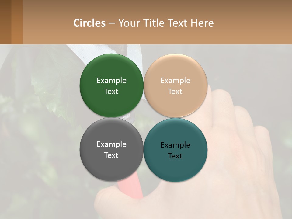 A Person Holding A Pair Of Scissors In Their Hand PowerPoint Template