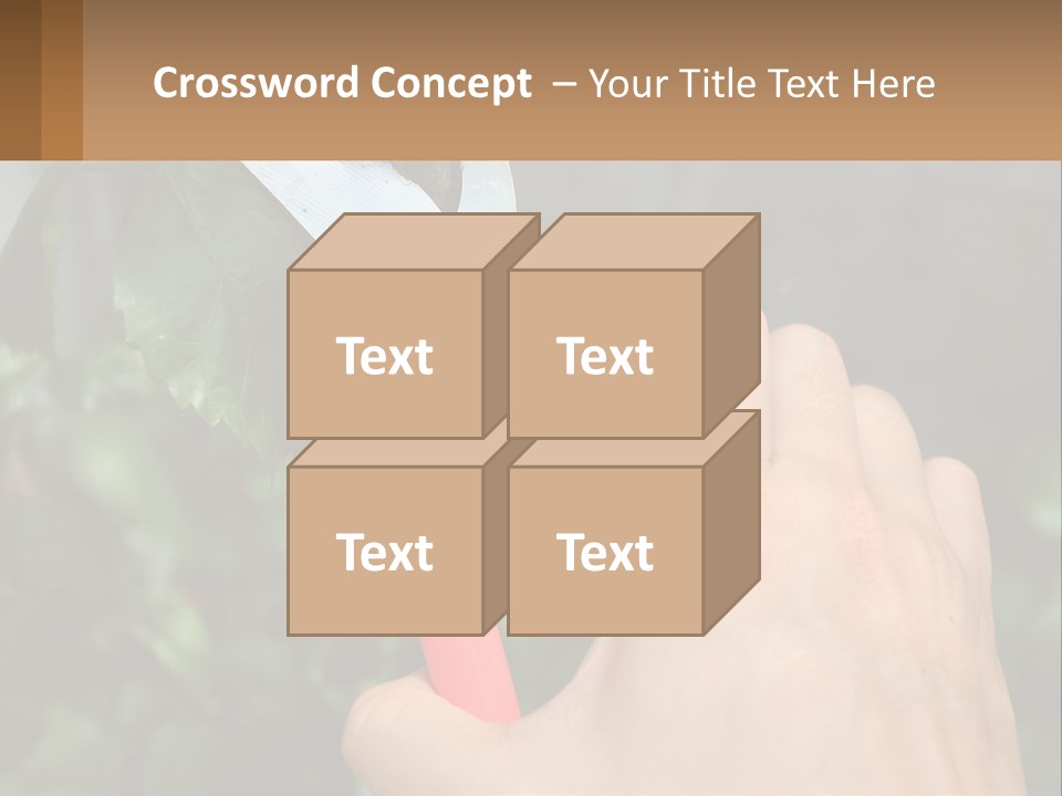 A Person Holding A Pair Of Scissors In Their Hand PowerPoint Template