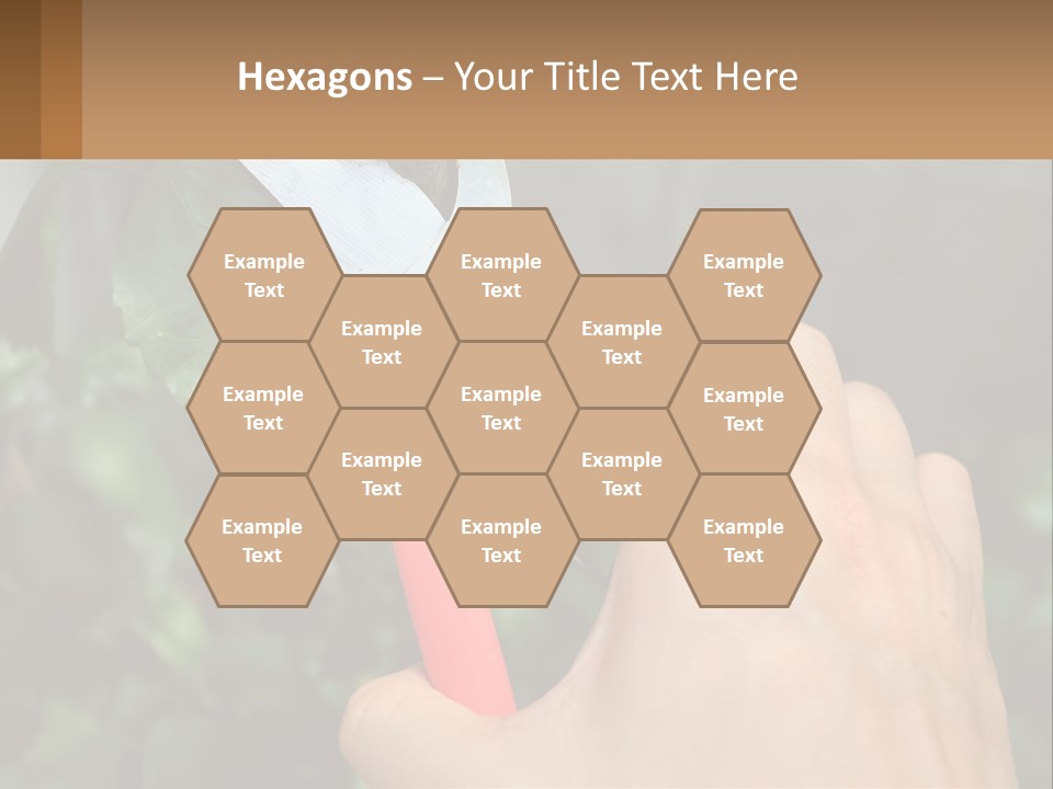 A Person Holding A Pair Of Scissors In Their Hand PowerPoint Template