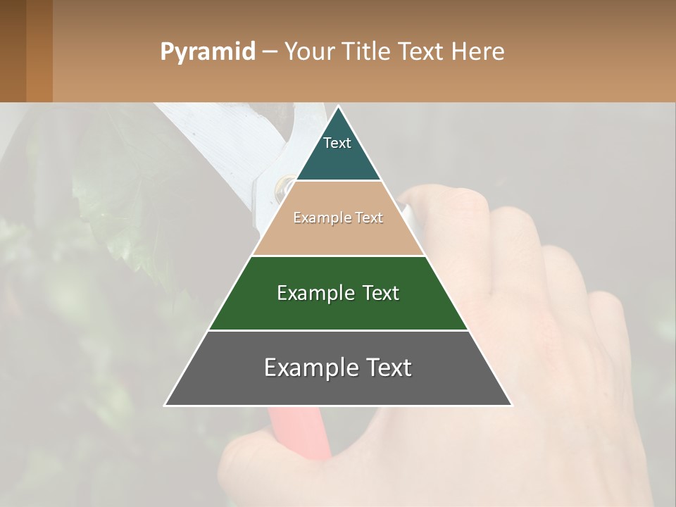 A Person Holding A Pair Of Scissors In Their Hand PowerPoint Template