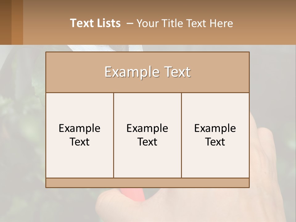 A Person Holding A Pair Of Scissors In Their Hand PowerPoint Template