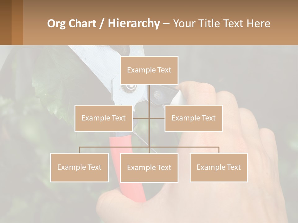 A Person Holding A Pair Of Scissors In Their Hand PowerPoint Template