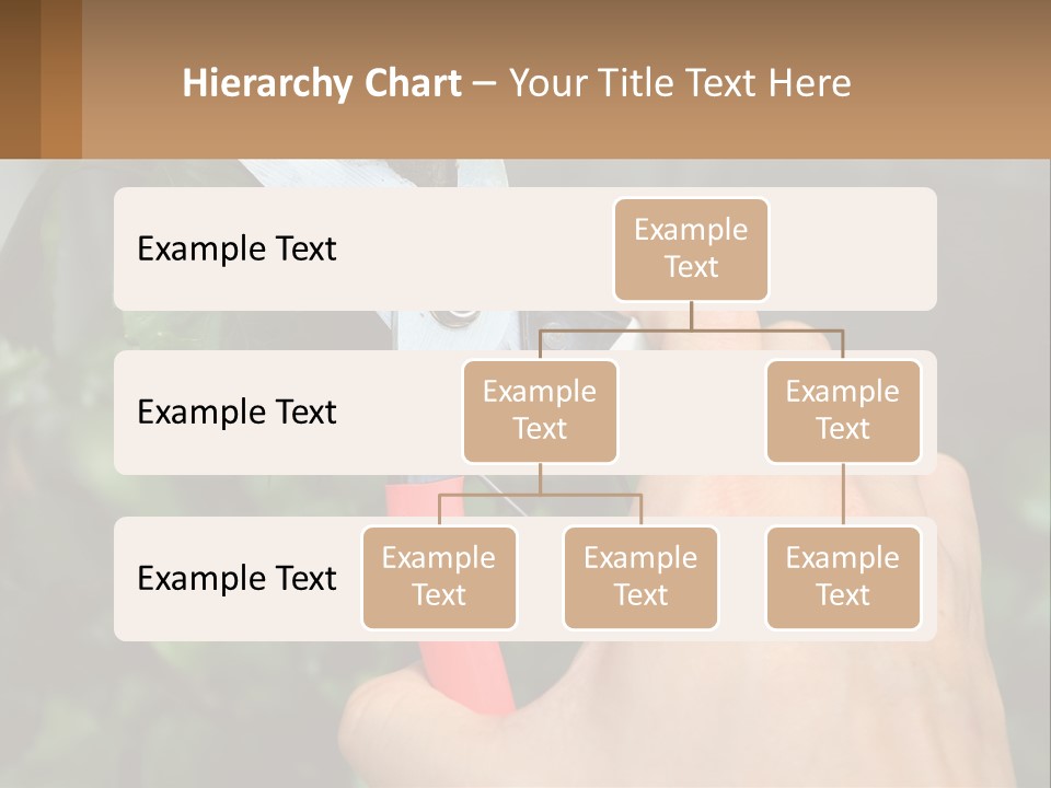 A Person Holding A Pair Of Scissors In Their Hand PowerPoint Template