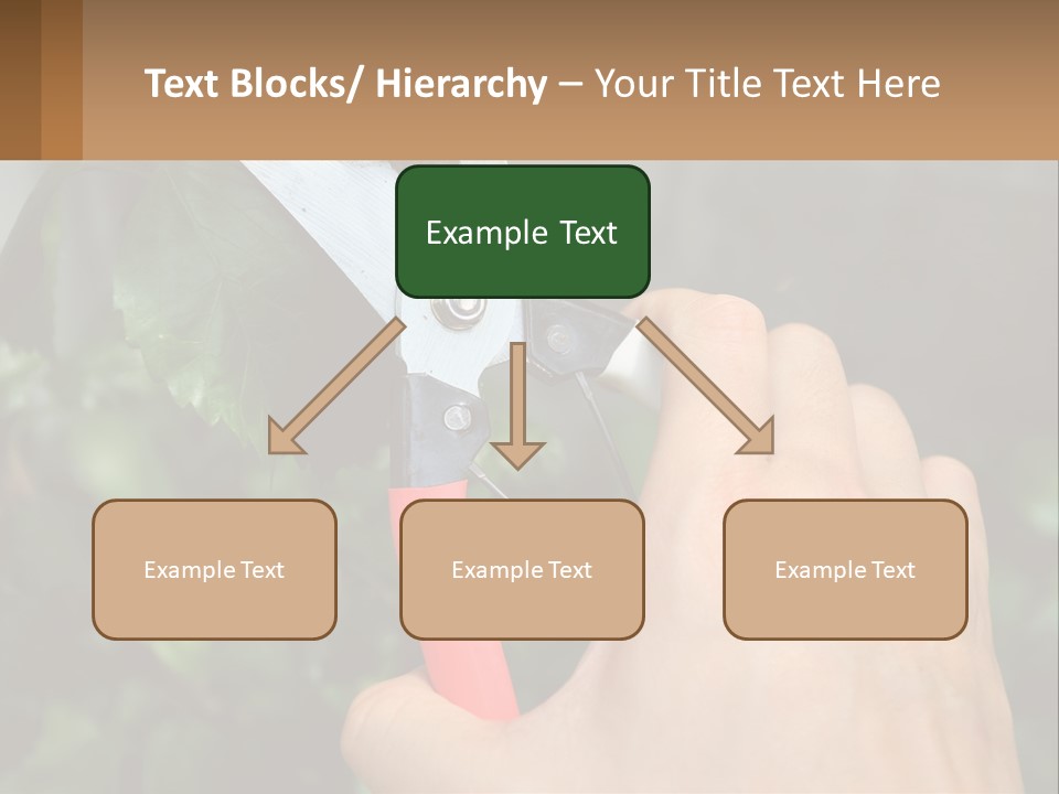 A Person Holding A Pair Of Scissors In Their Hand PowerPoint Template