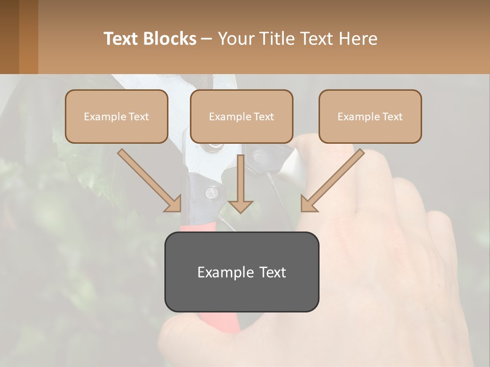 A Person Holding A Pair Of Scissors In Their Hand PowerPoint Template