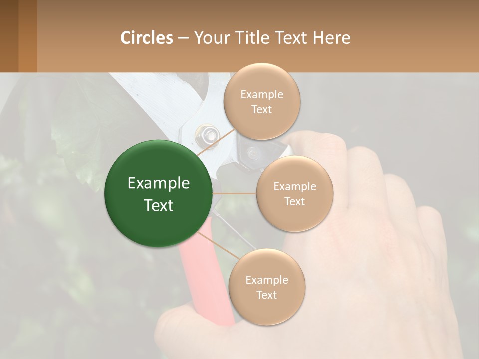 A Person Holding A Pair Of Scissors In Their Hand PowerPoint Template