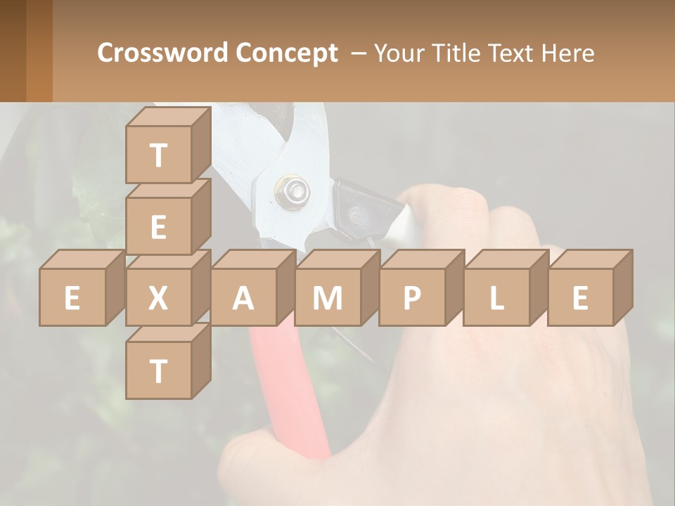 A Person Holding A Pair Of Scissors In Their Hand PowerPoint Template