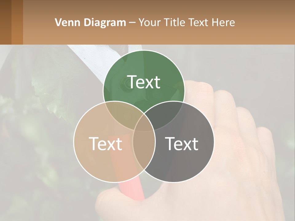 A Person Holding A Pair Of Scissors In Their Hand PowerPoint Template