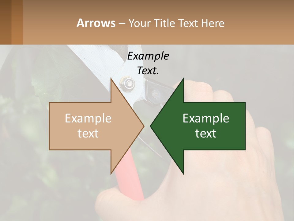 A Person Holding A Pair Of Scissors In Their Hand PowerPoint Template