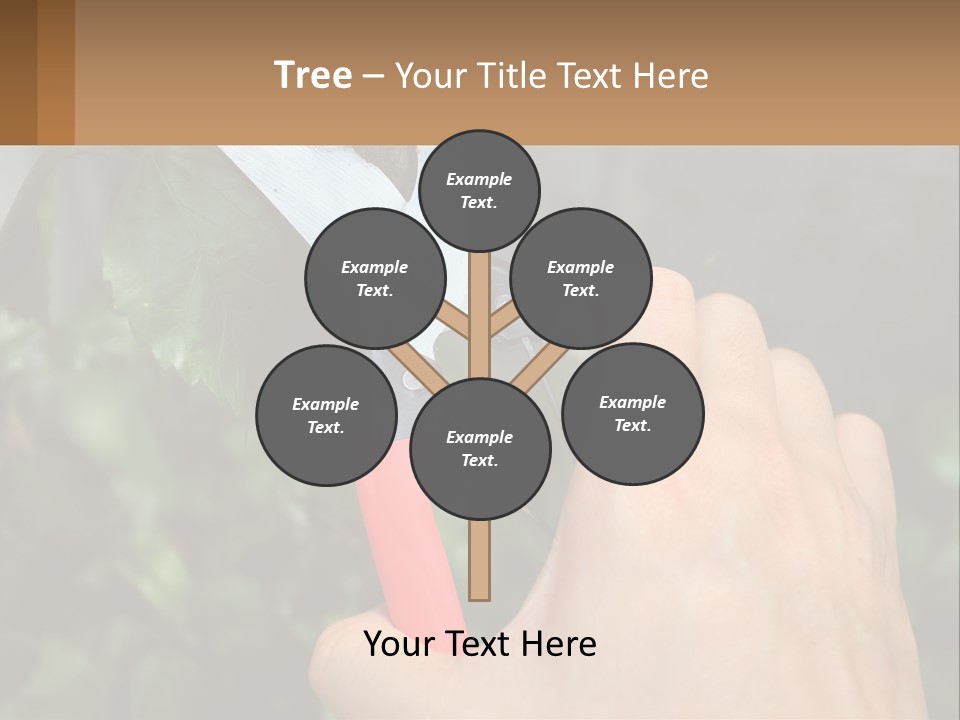 A Person Holding A Pair Of Scissors In Their Hand PowerPoint Template