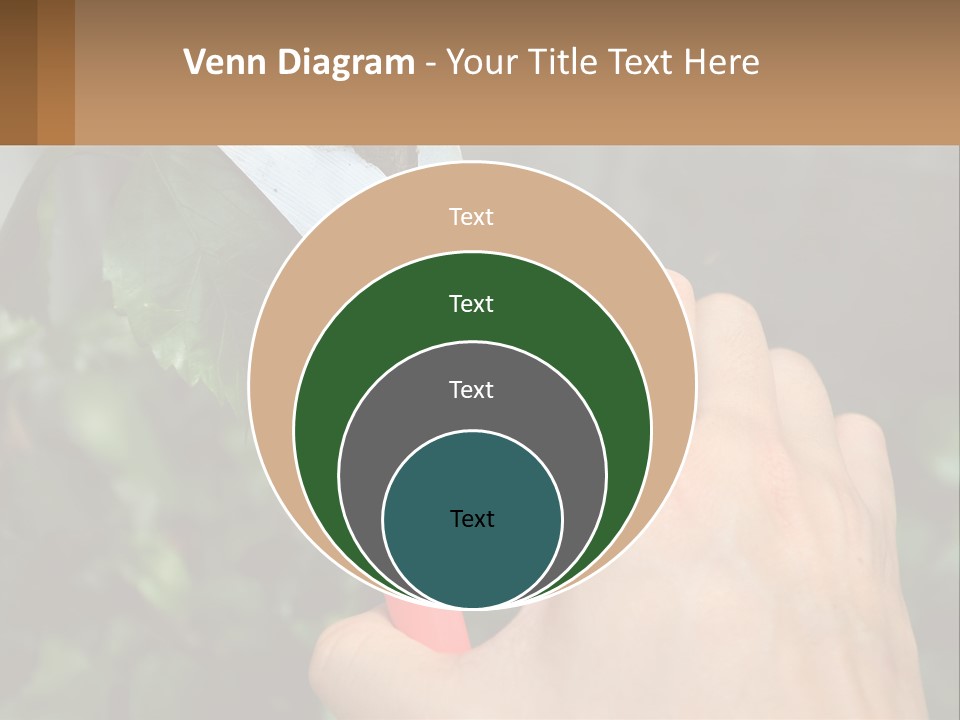 A Person Holding A Pair Of Scissors In Their Hand PowerPoint Template