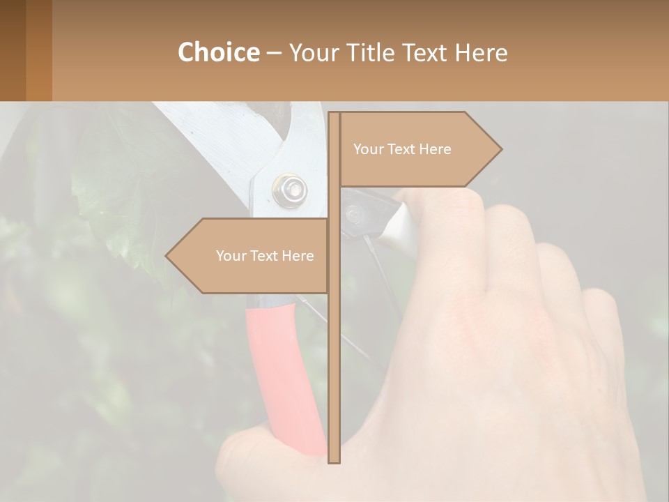 A Person Holding A Pair Of Scissors In Their Hand PowerPoint Template