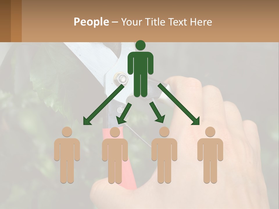 A Person Holding A Pair Of Scissors In Their Hand PowerPoint Template