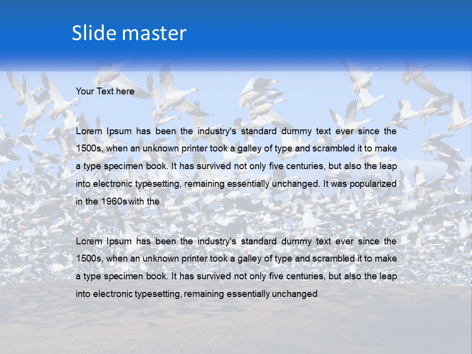 A Large Flock Of Birds Flying Over A Body Of Water PowerPoint Template