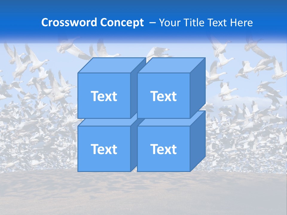 A Large Flock Of Birds Flying Over A Body Of Water PowerPoint Template