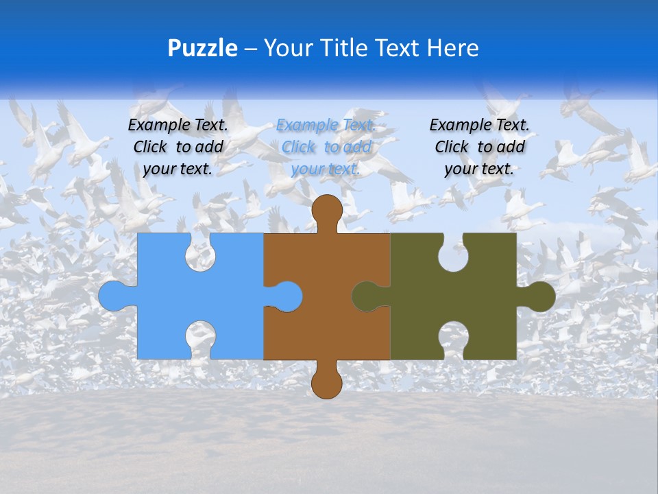 A Large Flock Of Birds Flying Over A Body Of Water PowerPoint Template