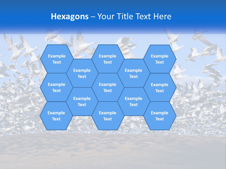 A Large Flock Of Birds Flying Over A Body Of Water PowerPoint Template