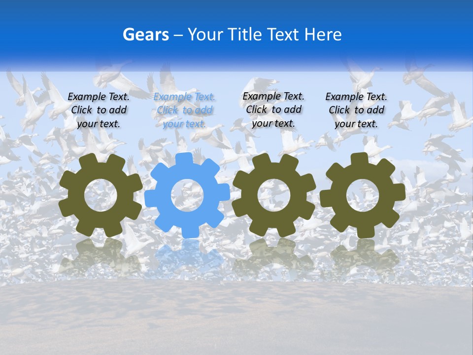 A Large Flock Of Birds Flying Over A Body Of Water PowerPoint Template