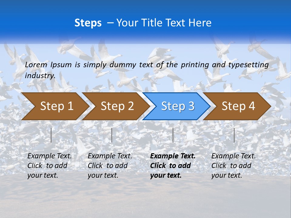 A Large Flock Of Birds Flying Over A Body Of Water PowerPoint Template