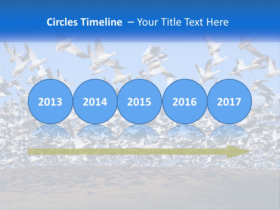 A Large Flock Of Birds Flying Over A Body Of Water PowerPoint Template