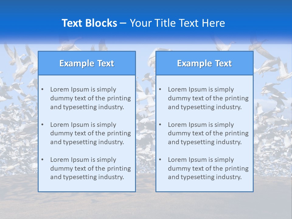 A Large Flock Of Birds Flying Over A Body Of Water PowerPoint Template
