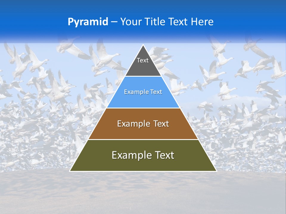 A Large Flock Of Birds Flying Over A Body Of Water PowerPoint Template