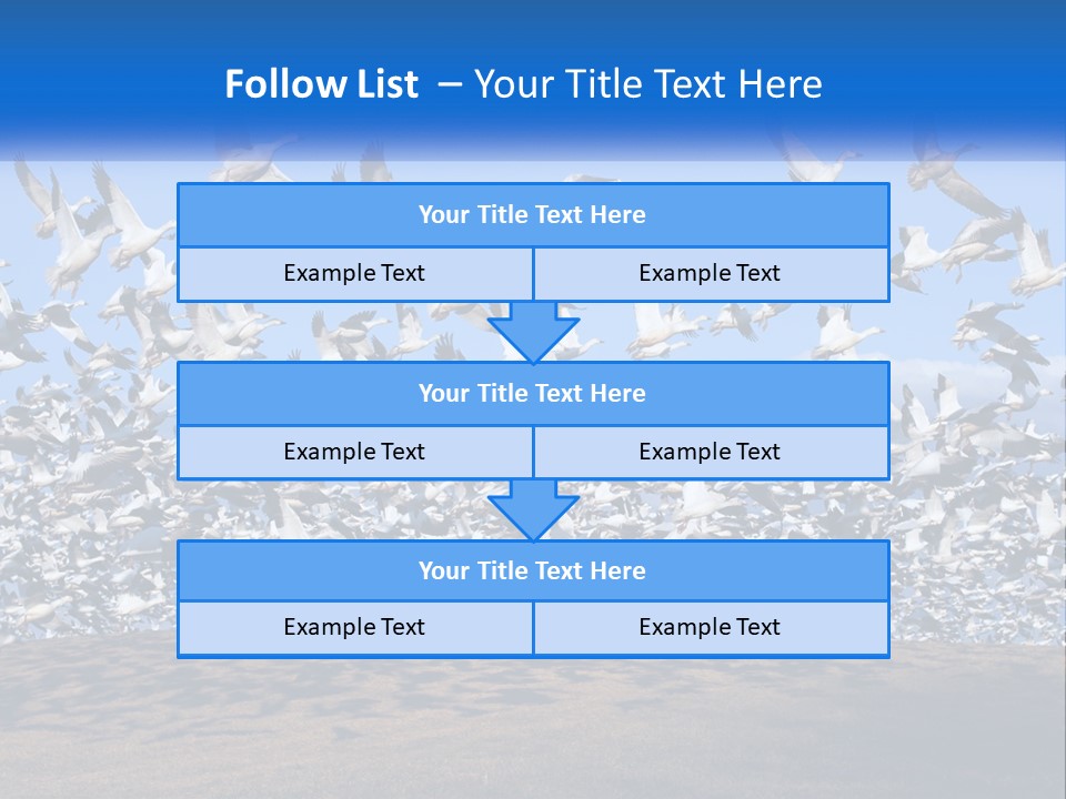 A Large Flock Of Birds Flying Over A Body Of Water PowerPoint Template