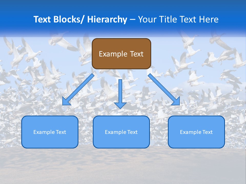 A Large Flock Of Birds Flying Over A Body Of Water PowerPoint Template