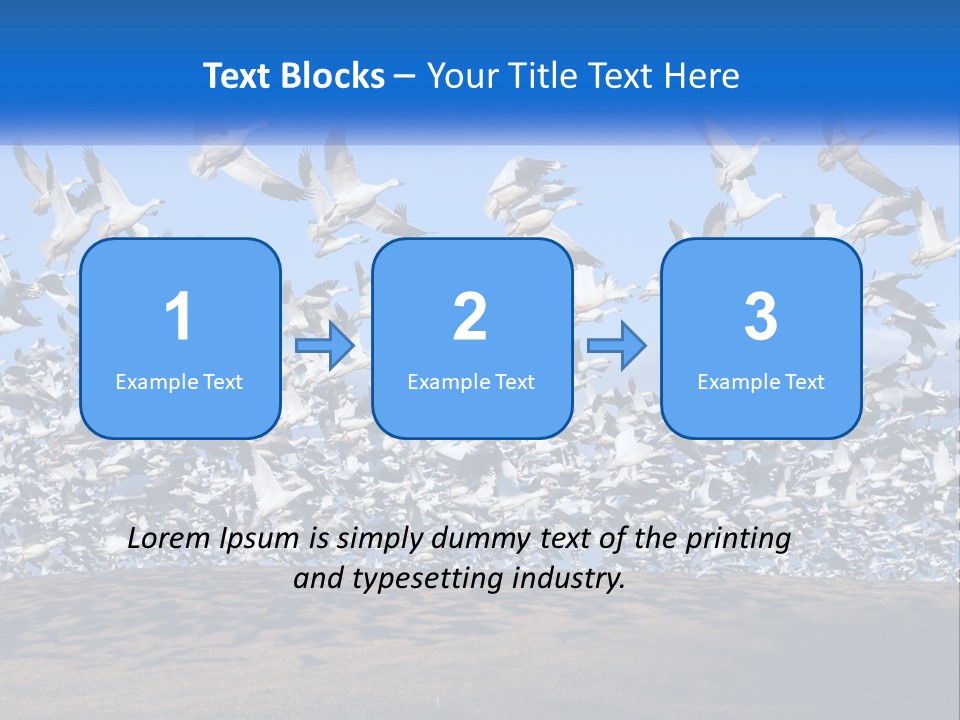 A Large Flock Of Birds Flying Over A Body Of Water PowerPoint Template