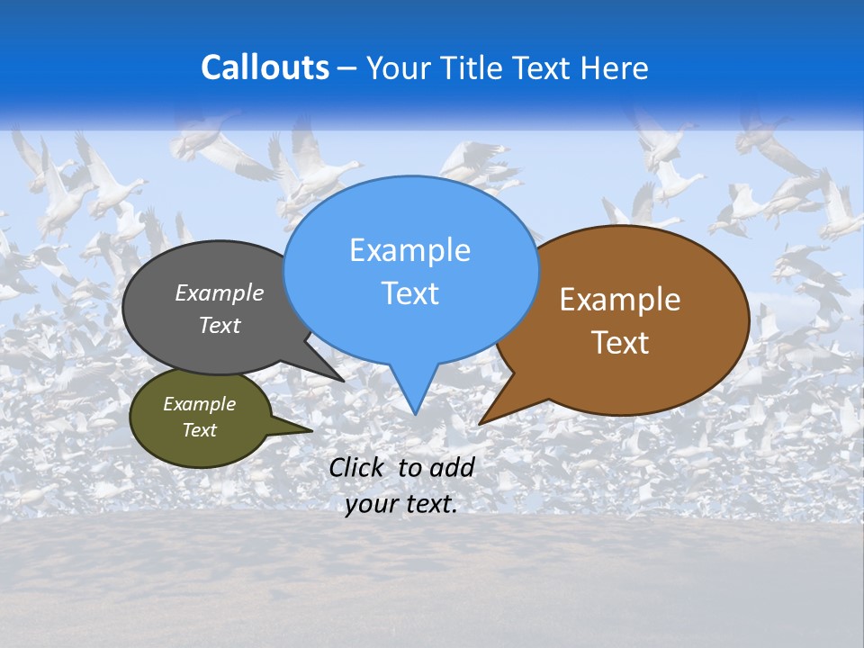 A Large Flock Of Birds Flying Over A Body Of Water PowerPoint Template