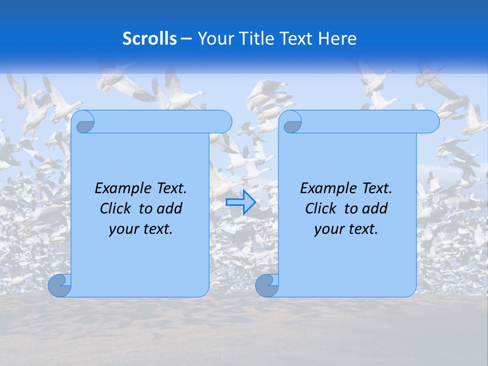 A Large Flock Of Birds Flying Over A Body Of Water PowerPoint Template