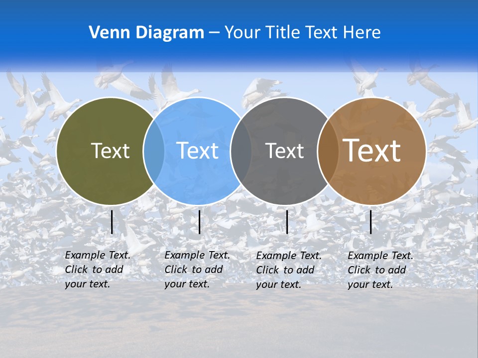 A Large Flock Of Birds Flying Over A Body Of Water PowerPoint Template